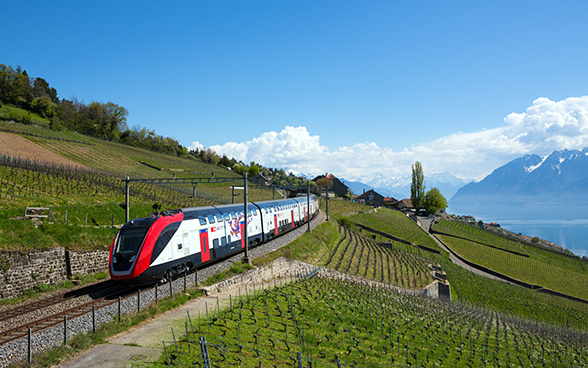 A train travelling through the Lavaux vineyards on the shore of Lake Geneva.
